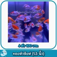 ราคา อ่างบัวเลี้ยงงปลา อ่างบัวหน้าบ้าน อ่างบัวดินเผา เพิ่มความสวยงาม (22869230927)