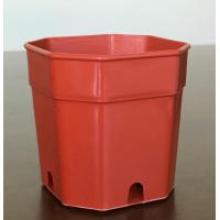 ราคา กระถางแคตัส กระถางต้นไม้ กระถางพลาสติก 2นิ้ว 3นิ้ว 4นิ้ว ทรงแปดเหลี่ยม สี ขาว ดำ อิฐ ชุดละ 50 ใบ (16126503944)