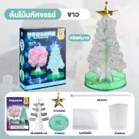 ราคา Christmas Magic Tree ต้นไม้วิทยาศาสตร์ DIY ต้นคริสต์มาส ต้นคริสต์มาสมหัศจรรย์ ต้นไม้มหัศจรรย์ ปลอดภัยไม่อันตราย (22816241993)