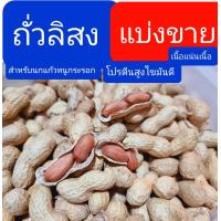 ราคา ถั่วลิสง เกรดA สำหรับนกแก้ว หนูแฮมสเตอร์ และสัตว์ฟันแทะ แบ่งขาย500กรัม1กิโลกรัม หนูแฮมสเตอร์ กระรอก กระแต แพรี่ด็อก เนื้ (8857552372)