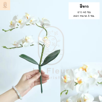 ราคา ช่อกล้วยไม้ฟาแลนประดิษฐ์ รุ่น2ก้าน 8 ดอก 3 สีให้เลือก กล้วยไม้ฟาแลนปลอม ฟาแลนประดิษฐ์ ตกแต่งสวน ตกแต่งบ้าน ตกแต่งห้อง (10265690876)