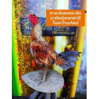 ราคา ไข่ไก่ชนพม่าม้าล่อรำงเมีองเหนือเจ้าเยียร์รถถัง (17330723594)