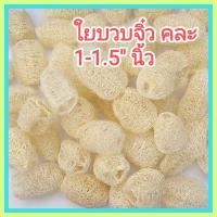 ราคา 50 ลูก ใยบวบจิ๋ว ใยบวบขัดหน้า ขนาด คละ 1 1 5 นิ้ว (18455929476)