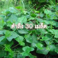 ราคา เมล็ดพันธุ์ผัก ตำลึงอดตำลึง ผักตำลึง ผักกินยอด ยอดอ่อน ใบ ไม้เลื้อย ตำลึงริมรั้ว 30 เมล็ด (7860253196)