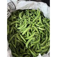 ราคา สดจากฟาร์ม ถั่วลันเตาหวาน 1 กิโล 120บาท ราคาถูก ที่สุด ราคาส่ง (21343133476)