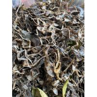 ราคา เขียด แห้งปรุงรสชาติอร่อย เค็มพอดี ตากแห้งสนิท (22958108903)