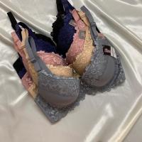 ราคา ชุดชั้นในมีโครงคัพC sister hood ลายลูกไม้ เสริมฟองน้ำ1เซ็น (18164866895)