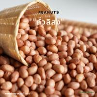 ราคา ถั่วลิสง ดิบ (23126944789)