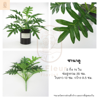 ราคา ช่อต้นไม้ประดับประดิษฐ์ มอนสเตอร่า ซานาดู ประดิษฐ์ ต้นไม้ประดิษฐ์ ต้นไม้ปลอม 2 แบบ ตกแต่งสวน แต่งกระถาง ตกแต่งบ้าน ใบไม้ประดิษฐ์ (9109041440)