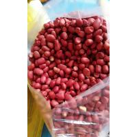 ราคา ถั่วลิสง สีแดง เม็ดพันธุ์ถั่วลิสง ถั่วปากอ้าดิบ ขนาด1kg 花生 huasheng (19168843765)