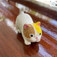 ราคา แมวยืด ตุ๊กตาน้องแมว แมวยืดหดได้ ของเล่น fidget แมวยืดได้ ของเล่นบีบ ของเล่นคลายเครียด สกุชชี่แมว ตุ๊กตาบีบแมว แมวบีบ (13440405756)