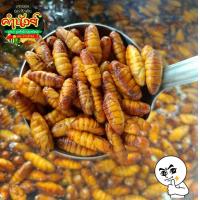 ราคา อีสานพาเเซ่บคำนัวย์ดักแด้ความอร่อยแบบอีสานบ้านเฮา มีมาพร้อมเสิร์ฟแล้วเจ้าคะขนาด250กรัมราคา119บาทคั่วเกลือกรอบๆทำได้หลายเมน (14238999670)