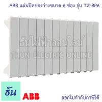 ราคา ABB แผ่นปิดช่องว่างขนาด 6 ช่อง รุ่น TZ BP6 แผ่นปิดตู้ แผ่นปิด ช่องว่าง ฝาอุด เกาะราง สำหรับ ตู้คอนซูมเมอร์ เอบีบี ฝาปิด ธันไฟฟ้า (20067904952)