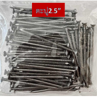 ราคา ตะปู ตะปูตอกไม้ แบ่งขาย 0 5กก (22938033249)