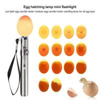 ราคา เครื่องทดสอบแสงเทียนในไข่โคมไฟเชิงเทียน LED แสงสว่างเย็นสำหรับไก่ทั้งหมดไข่นกกระทาเข้มนกกระทา (14605561531)