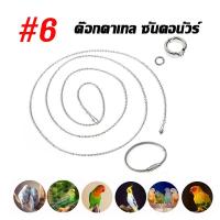 ราคา โซ่คล้องห่วงขานกแก้ว 100cm โซ่ขานกสแตนเลส ห่วงเปิดนก พร้อมห่วงล็อค สายเกาะคอนนกแก้ว ฟอพัส เลิฟเบิร์ด ซันคอนัวร์ (23226448742)