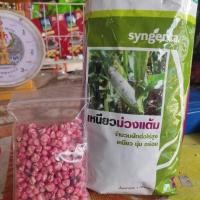 ราคา เมล็ดพันธุ์ ข้าวโพด เหนียวม่วงแต้ม ข้าวเหนียวม่วงแต้ม ม่วงแต้ม แบ่งขาย บรรจุ100กรัม หมดอายุ05 2569 (1778482613)
