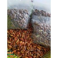 ราคา เริสสอีสานคำนัวย์ เม็ดกระบกความอร่อยกลิ่นอายแบบอีสานบ้านเฮาเนื้อข้างในขาวๆเม็ดเต็มนำไปคั่วกับเกลือหอมๆกรอบๆเจ้าคะ (16948017169)