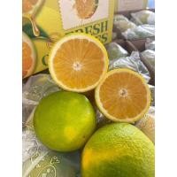ราคา ส้มเช้งน้ำผึ้ง 1 kg หวาน หอม อร่อย ปลอกแช่เย็นทานชื่นใจ (23207581214)
