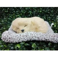 ราคา ตุ๊กตาดูดกลิ่นอับ น้องหมาดับกลิ่นอับ ตุ๊กตาดูดกลิ่นคาร์บอน ที่ดูดกลิ่นอับในรถยนต์ (8161855961)