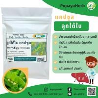 ราคา สมุนไพรลูกใต้ใบผง100 บำรุงตับ (18854331266)
