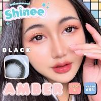 ราคา คอนแทคเลนส์ ขนาดบิ๊กอาย Black Amber Shinee (21959402252)