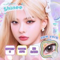 ราคา คอนแทคเลนส์ ขนาดมินิ Brown Gray New york Shinee (20781105741)