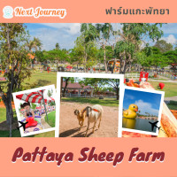 ราคา บัตรเข้าฟาร์มแกะพัทยา Pattaya Sheep Farm (21500493380)