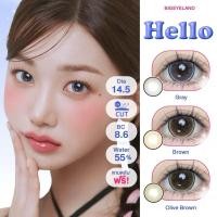 ราคา คอนแทคเลนส์ Hello Gray Brown Olive Brown Montra ขนาดบิ๊กอาย (23294198253)
