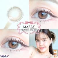ราคา คอนแทคเลนส์ ขนาดกลาง Brown Gray Almond Marry Montra (22032512044)