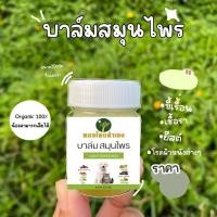 ราคา ครีมบาล์มสมุนไพร บรรเทาโรคผิวหนัง ขี้เรื้อนสุนัข แมว เชื้อรา ยีสต์ คันเกา มี อย ถูกต้อง 20 50 กรัม หมอไทยทำเอง (23135747205)