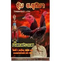 ราคา ไข่ไก่ชนพม่าแข้งหน้าพม่าไอคิวดี จ่ายลูกดี อุปกรณ์ไก่ชน ยาไก่ชน มาประกันขนส่งแตกส่งให้ใหม่ฟรี (10158825713)