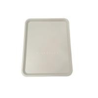 ราคา Ikea อิเกีย ถาด พลาสติก สำหรับเสิร์ฟอาหาร 37x29 cm สีเทา สีเขียวอ่อน (21454541313)