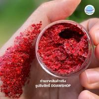 ราคา เจลกากเพชร แต่งหน้า แต่งผม กลิตเตอร์แต่งหน้า กากเพชรแต่งหน้า อายแชโดว์ แต่งตา กลิตเตอร์ติดตา กากเพชรติดตา กากเพชร (17433369249)