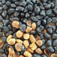 ราคา เม็ดมะขามคั่ว หอมๆ คั่วเตาถ่านไฟอ่อนๆ กินเพลินๆ คั่วไปขายไป ท่านใดสนใจ สั่งมาได้เลยจ้า คัดเม็ดสวยๆค่ะ (13286251591)