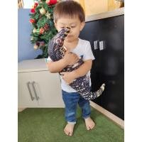 ราคา ตุ๊กตาตัวเงินตัวทองราคาโรงงานมีให้เลือก2ขนาด 20นิ้ว 30นิ้ว (15385721020)