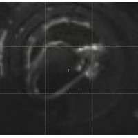 ราคา PARASIL กาวซิลิโคนซีลแลนท์ พาราซิล 929 อินทีเรีย เอ็กทีเรีย ซิลิโคน ซีลแลนด์ 300กรัม ราคา หลอด (9912782383)