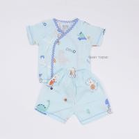 ราคา Little Home Baby ชุดเซ็ทเสื้อผูกหน้าและดุมหน้าพร้อมกางเกงทารก 0 3 เดือน ผ้ามัสลิตคอตตอนทอตาราง นุ่มๆ (23344270320)