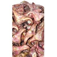 ราคา พร้อมส่ง หัวกระจับเขาควายสด แบบเปลือกดิบและต้ม และต้นกระจับสวยงาม พืชไม้น้ำปลูกในบ่อในตู้ปลาได้ (23223160969)