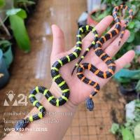 ราคา แพ็ค 2 ตัว งูปลอม งูยาง งูไล่นก งู ตุ๊กตายาง ของเล่น ของสะสม สัตว์ สัตว์ปลอม ฮาโลวีน toy fake rubber snake animal party fancy halloween m24 (21419424224)