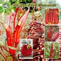 ราคา ปลูกง่าย COD เมล็ดสด 100 Red Okra Seeds กระเจี๊ยบฝักสีแดงงง เมล็ดพันธุ์ กระเจี๊ยบมอญ Red Burgundy Okra Seed Organic Vegetable Seeds for Planting เมล็ดกระเจี๊ยบ F1 เมล็ดพันธุ์แท้ ปลูกง่าย อัตราการงอกส 