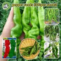 ราคา ปลูกง่าย COD พริก เมล็ดพันธุ์ High Yield Screw Pepper Seeds ของแท้ 100 Chilli Pepper Seeds for Planting Pepper Vegetable Seeds Hot Pepper Plants เมล็ดพันธุ์พริก เมล็ดพันธุ์ พริกใหญ่ยักษ์ เมล็ดพันธุ์พ 