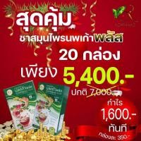 ราคา ชาสมุนไพรนพเก้าพลัส ชานพเก้า ชาสมุนไพร คุณค่าจากสมุนไพร 11 ชนิด แบบชงดื่ม 20 กล่องพิเศษ 5400 ปกติ 6000 ของแท้จากบริษัท (21056259803)