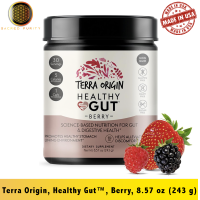 ราคา Terra Origin Healthy Gut Berry 8 57 oz 243 g EXP 08 2026 (22448978796)