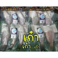 ราคา ปลาเก๋าแดดเดียวตัดหัว แพ็คสูญญากาศ 2 4ตัว 500กรัม สดสะอาด เราใส่ใจก่อนถึงมือลูกค้า (21044155232)