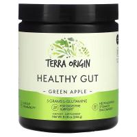 ราคา Terra Origin Healthy Gut Mint Green Apple Berry And Honey Lemon Flavors (23187159093)