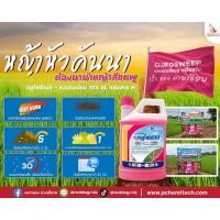 ราคา ยกลังถูกกว่า กลูโฟสวีป ตราหมาแดง 4ลิตร 6แกลอน ชิ้นละ 570 กลูโฟซิเนต แอมโมเนียม15 ยาฆ่าหญ้ากึ่งเผาไหม้ กึ่งดูดซึม (21447396793)