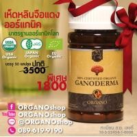 ราคา ORGANO GOLD 100 Certified Organic Ganoderma Lucidum เห็ดหลินจือแดงสกัดเข้มข้น ออร์แกนิคแท้100 ออร์กาโน่โกลด์ (400449761)
