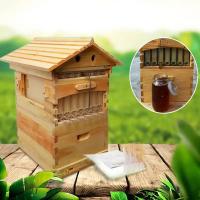 ราคา กล่องเลี้ยงผึ้งกรอบรังผึ้ง กล่องไม้เลี้ยงรังผึ้ง กล่องเลี้ยงผึ้ง เก็บน้ำผึ้งง่ายดาย กล่องเลี้ยงผึ้งกรอบรังผึ้ง (19391753114)