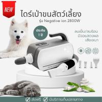 ราคา ไดร์เป่าขนสัตว์เลี้ยง 2800W รุ่น Negative Ion เป่าแห้งเร็ว เสียงเบา เครื่องเป่าขนสุนัข Pettail ร้านค้าไทย (16190456297)